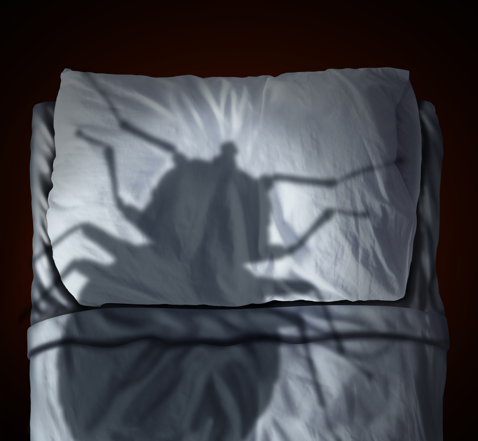 Bed Bug shadow on pillow and blanket